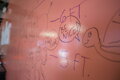 ACTIVE WALL - TRANSPARENT FROM 3,5 m²